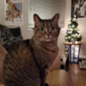 Meet your Posher, Jay